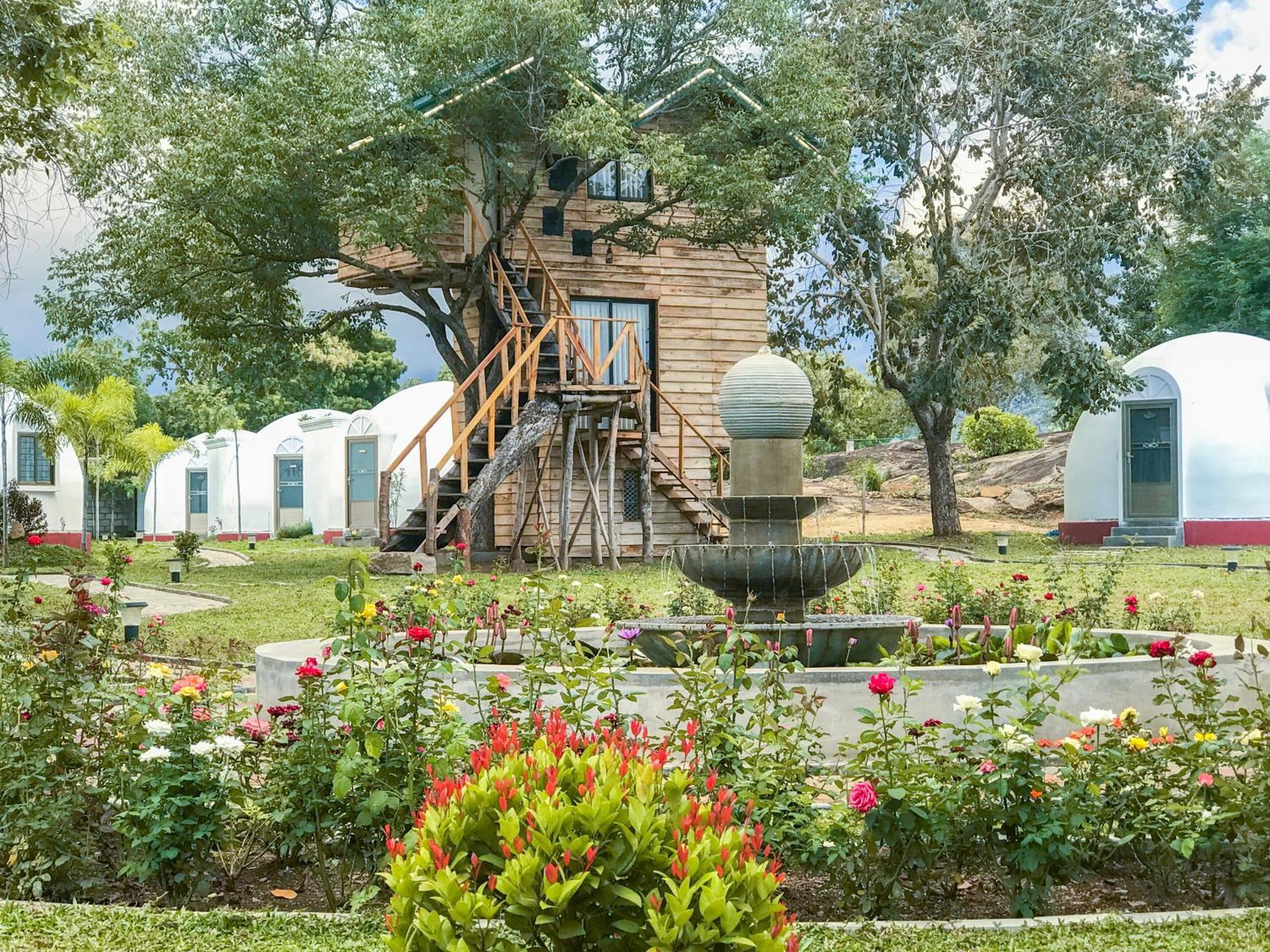 The Lion Kingdom Sigiriya Hotel Exterior foto